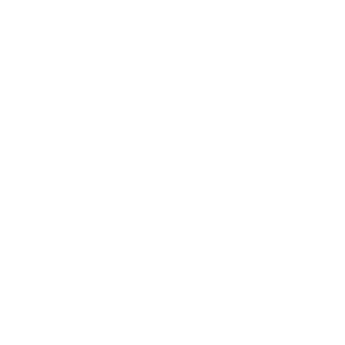 Logo Delta Bianco